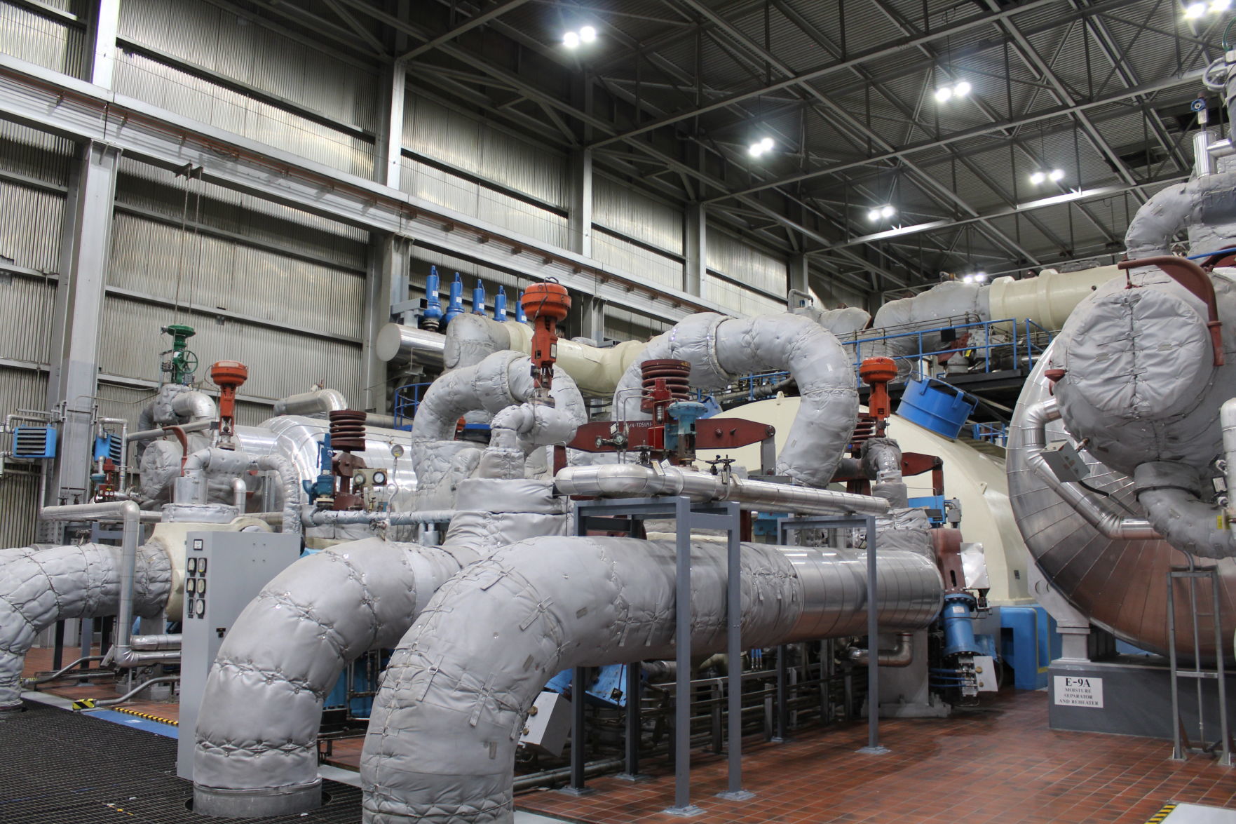Palisades plant pic 2